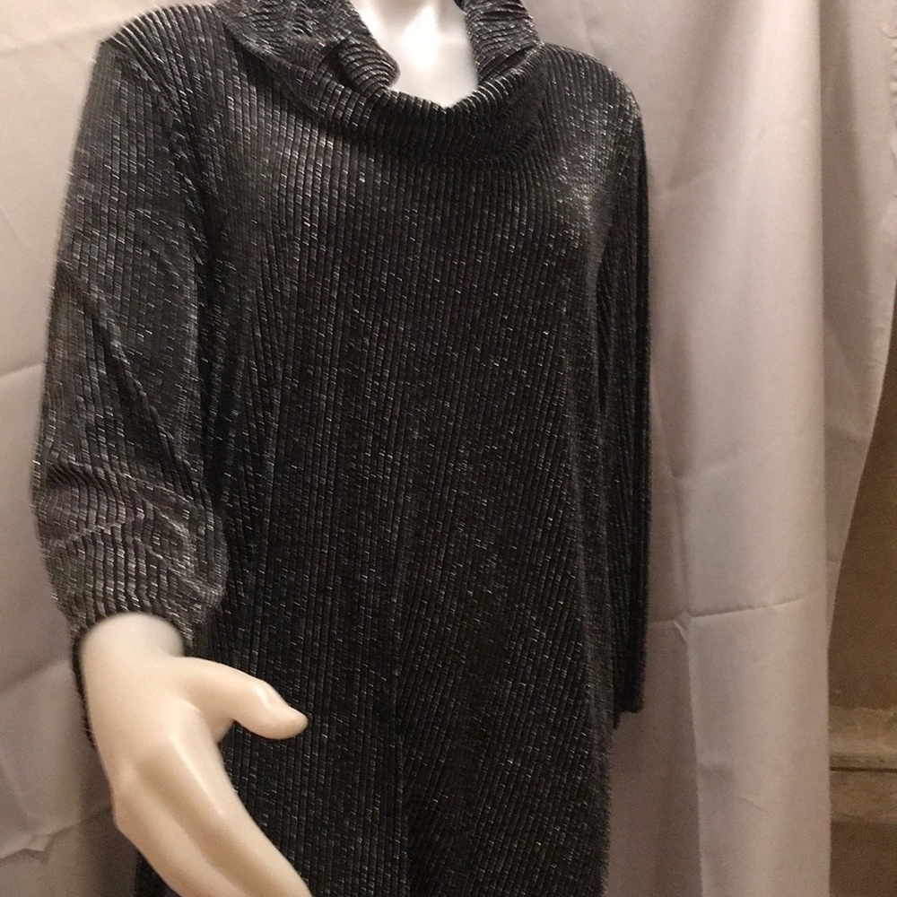 Sz 2x Ruby rd black silver sparkly top